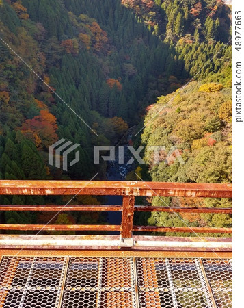 A valley overlooking the Amaterasu railway 48977663