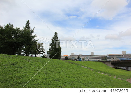 Park Riverbed Nature 48978095
