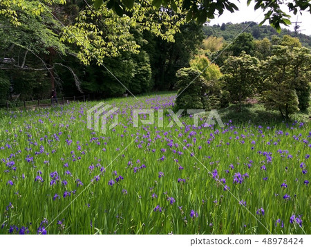 太田神社 48978424