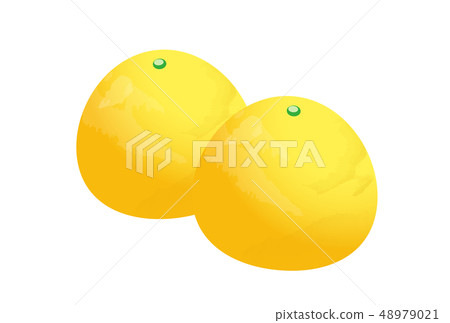 Fumari 48979021