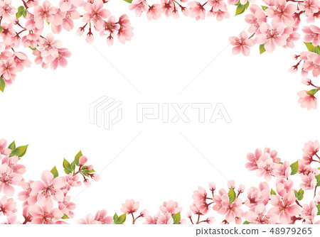 Cherry background material 48979265