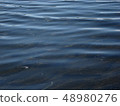 Ripples on the water surface 48980276