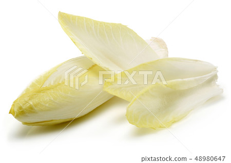 Fresh endive isolated on white Fresh endive isolated on white 48980647