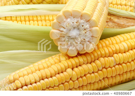 Fresh corn and leaves, full frame 48980667