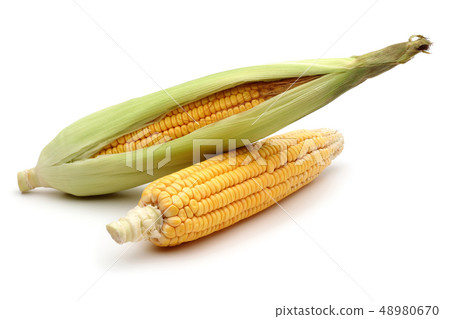 Fresh corn isolated on a white 48980670