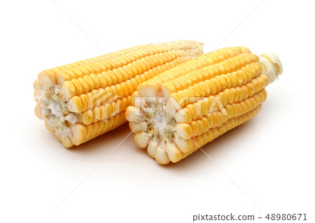 Fresh corn isolated on a white Fresh corn isolated on a white 48980671
