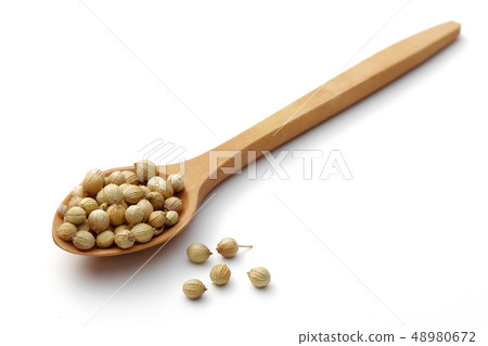 Dry coriander seeds in wooden spoon isolated on Dry coriander seeds in wooden spoon isolated on 48980672