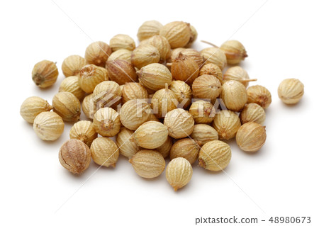 Dry coriander seeds isolated on white Dry coriander seeds isolated on white 48980673