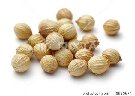 Dry coriander seeds isolated on white Dry coriander seeds isolated on white 48980674