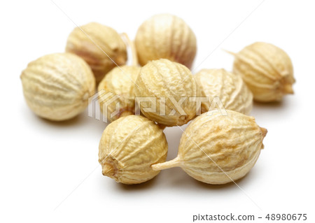 Dry coriander seeds isolated on white Dry coriander seeds isolated on white 48980675