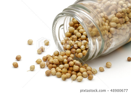 Dry coriander seeds in glass jar isolated on white Dry coriander seeds in glass jar isolated on white 48980677