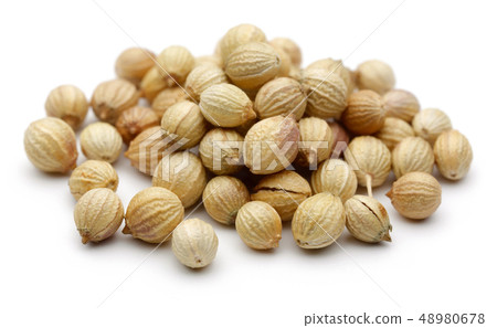 Dry coriander seeds isolated on white 48980678