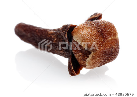 Dry clove bud isolated on white Dry clove bud isolated on white 48980679