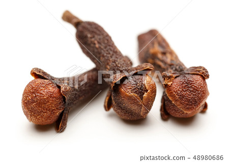 Dry clove buds isolated on white Dry clove buds isolated on white 48980686
