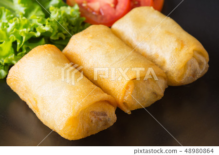 spring rolls  48980864