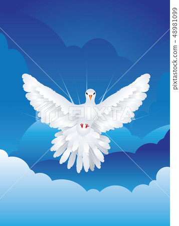 Dove in the Sky 48981099