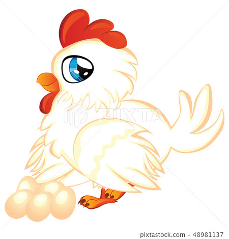 Cartoon Hen with Eggs 48981137