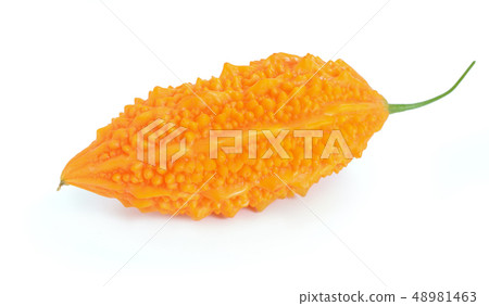 Momordica isolated on white background. 48981463