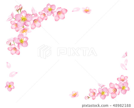櫻桃框架 48982188