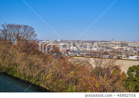 神奈川縣川崎市多摩區須賀市中田島生田水田到生田的景色 48982558