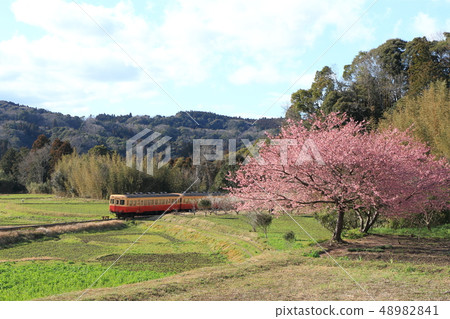 Kominato Railway “Scenery of Ishigami Satoyama in early March” 48982841