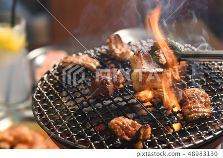 激素烤烤烤木炭 48983130