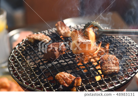 激素烤烤烤木炭 激素烤烤烤木炭 48983131