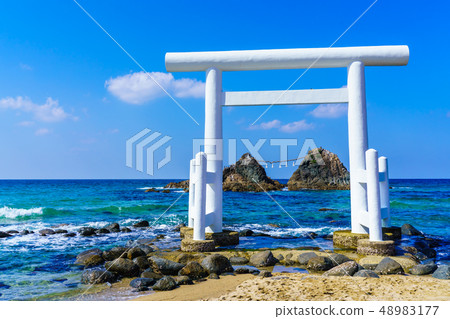 Sakurai Futumigaura [Fukuoka Prefecture Itoshima City] 48983177
