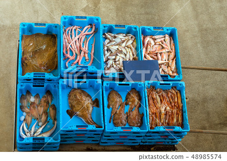 Containers with catch, sea fish delicacies, Spain 48985574