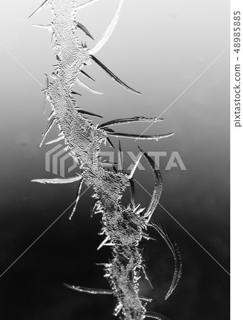 Black and white drawings on the glass in the frost 48985885