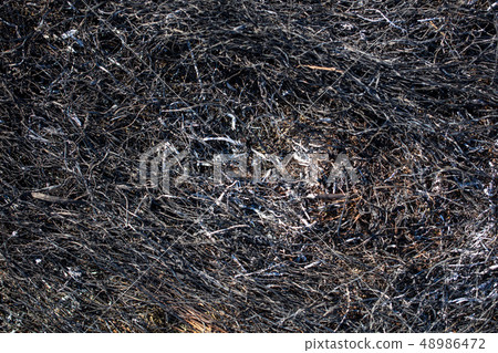 Black burned grass on the ground as an abstract background Black burned grass on the ground as an abstract background 48986472
