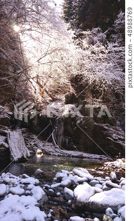 "Fantasy" The light that enters the trees thaws (vertical position) "Fantasy" The light that enters the trees thaws (vertical position) 48988769