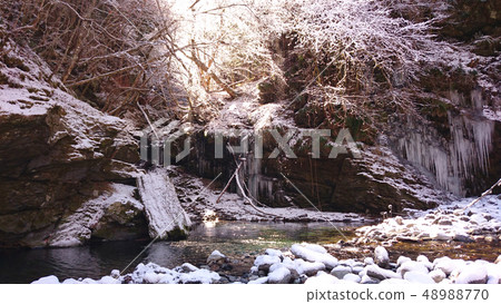 "Fantasy" The light that thaws with the trees thaws (horizontal position) "Fantasy" The light that thaws with the trees thaws (horizontal position) 48988770