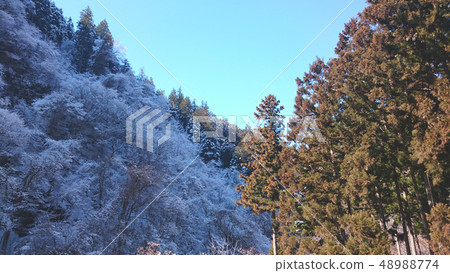 "Arrival of spring, season of pollen" Blue sky and snowy mountain and cedar tree Chichibu, three peaks "Arrival of spring, season of pollen" Blue sky and snowy mountain and cedar tree Chichibu, three peaks 48988774