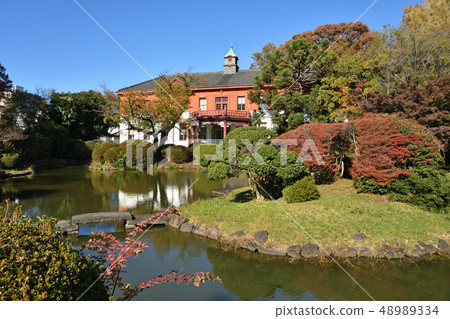 東京大學大學院理學研究科附屬植物園/日本花園 東京大學大學院理學研究科附屬植物園/日本花園 48989334