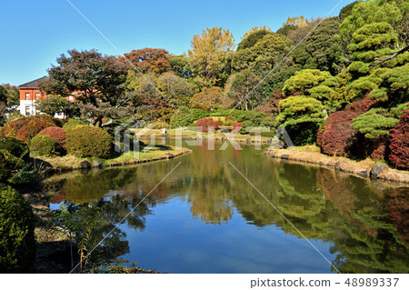東京大學大學院理學研究科附屬植物園/日本花園 48989337