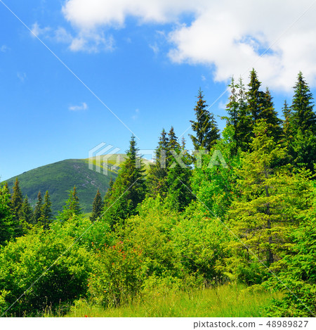 Scenic mountains, meadows and blue sky. 48989827