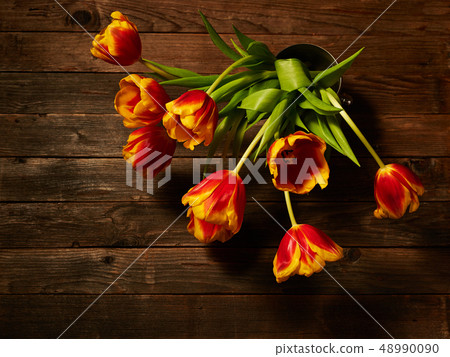 Bouquet of multicolored tulips. Bouquet of multicolored tulips. 48990090
