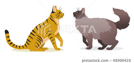Two cats vector - Smooth coated ginger cat with long tail and Long-haired cat with long fluffy tail Two cats vector - Smooth coated ginger cat with long tail and Long-haired cat with long fluffy tail 48990428