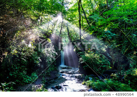 Waterfall of dragon return Karuizawa Kosuke [Nagano Prefecture] 48990564