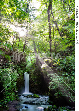 Waterfall of dragon return Karuizawa Kosuke [Nagano Prefecture] 48990579