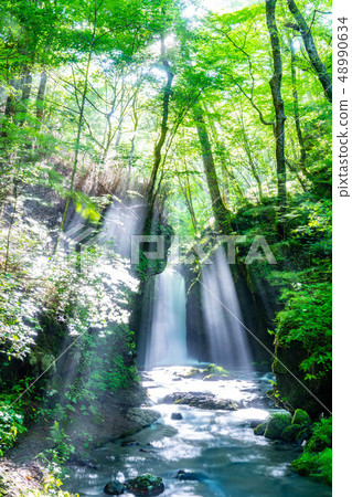 Waterfall of dragon return Karuizawa Kosuke [Nagano Prefecture] 48990634
