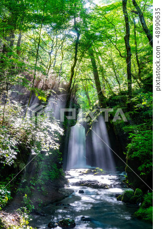 Waterfall of dragon return Karuizawa Kosuke [Nagano Prefecture] 48990635