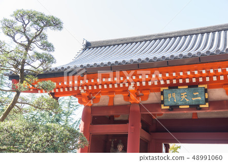 Asakusa Nitenmon 48991060