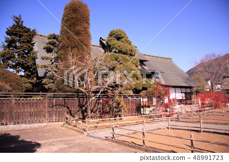 早春甘草屋（老高野屋） 48991723