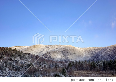 飯田高原雪景 飯田高原雪景 48991775