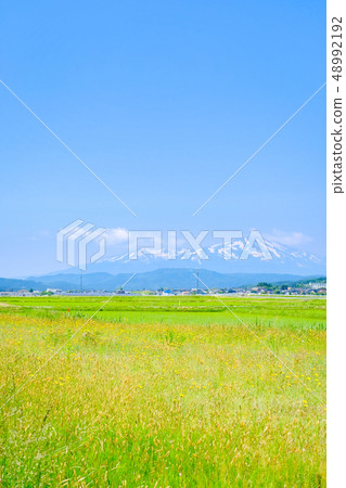 從坂田市看到的初夏的Chokai山 48992192
