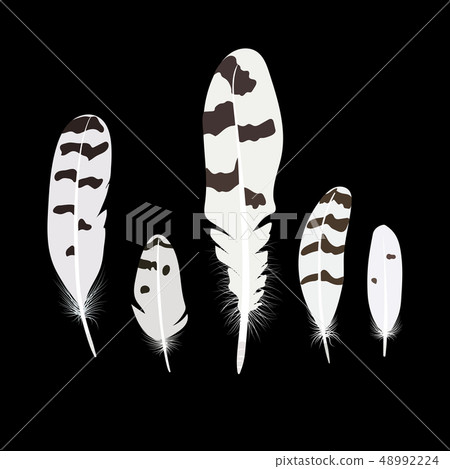 Set of isolated falling white fluffy twirled 48992224