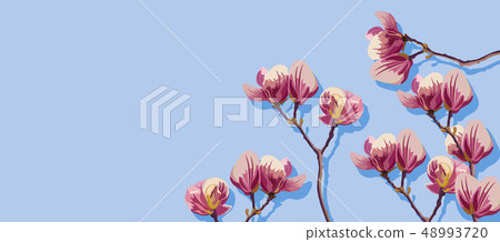 Magnolia flowers spring Vector. Beautiful card - Stock Illustration ...