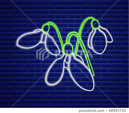 Snowdrop neon sign Vector. Spring design element. Snowdrop neon sign Vector. Spring design element. 48993730